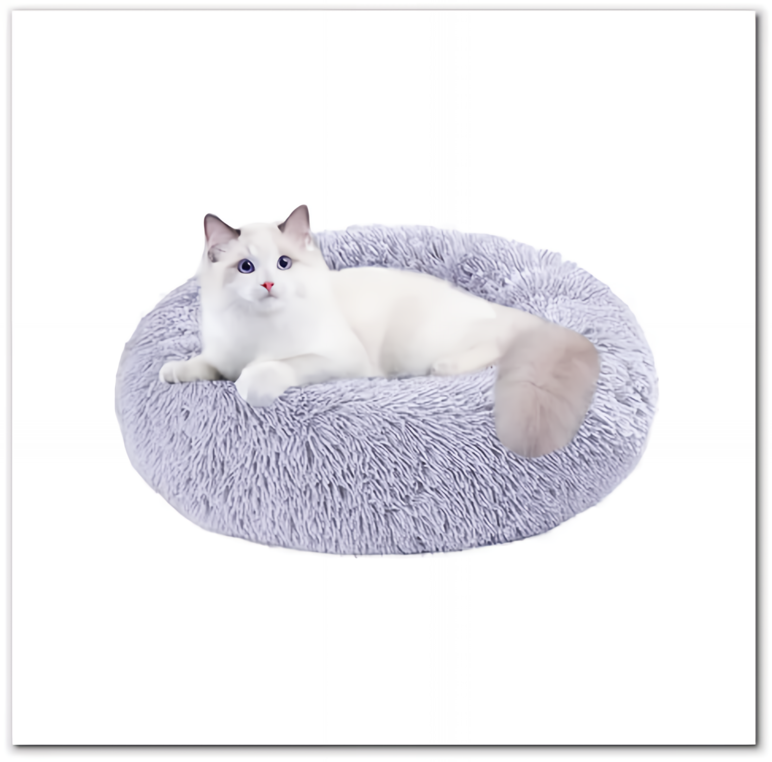 Beautiful Cat Beds For Indoor